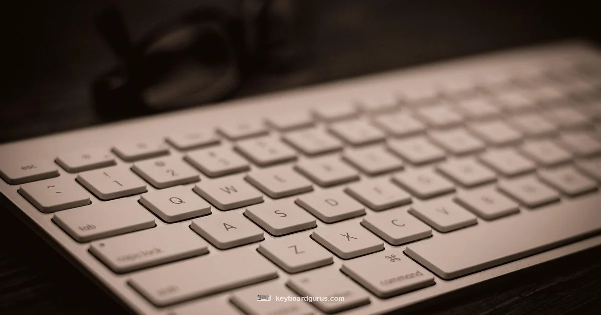 Apple Keyboard Insights - Keyboard Gurus