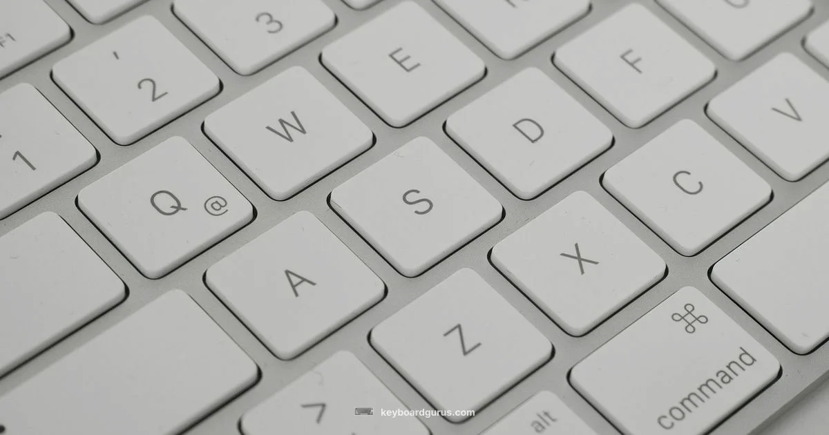 Windows Keyboard Setup - Keyboard Gurus