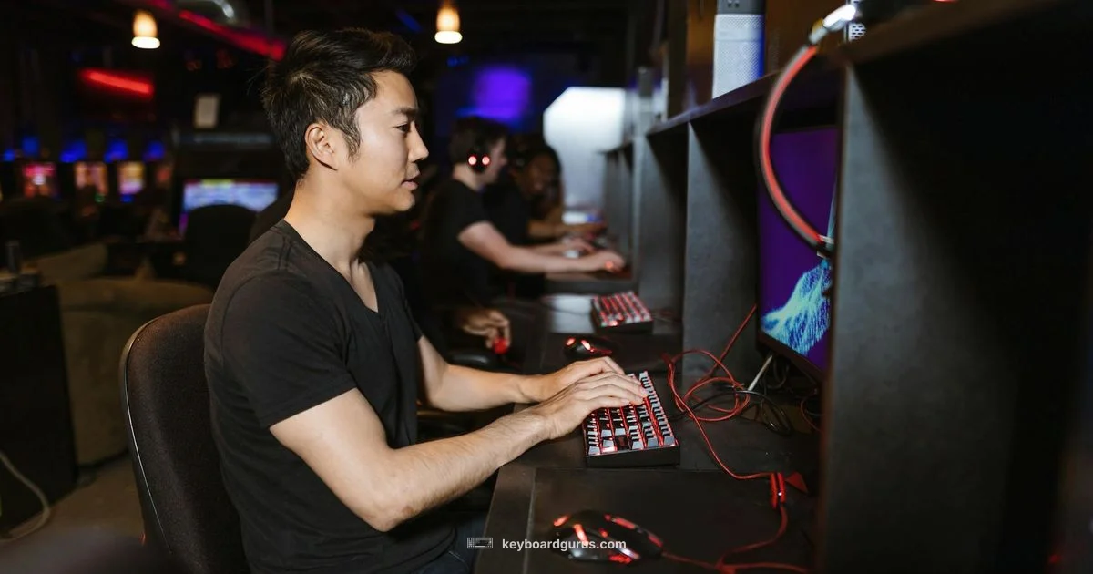 Razer Keyboard Gaming Essentials - Keyboard Gurus