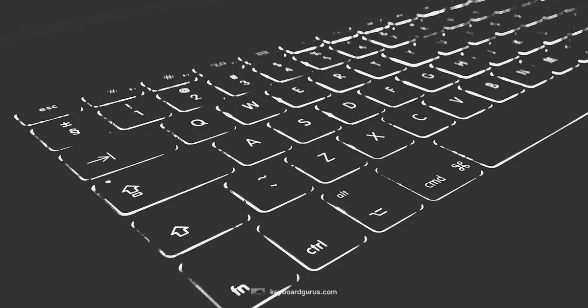 Backlit Keys - Keyboard Gurus