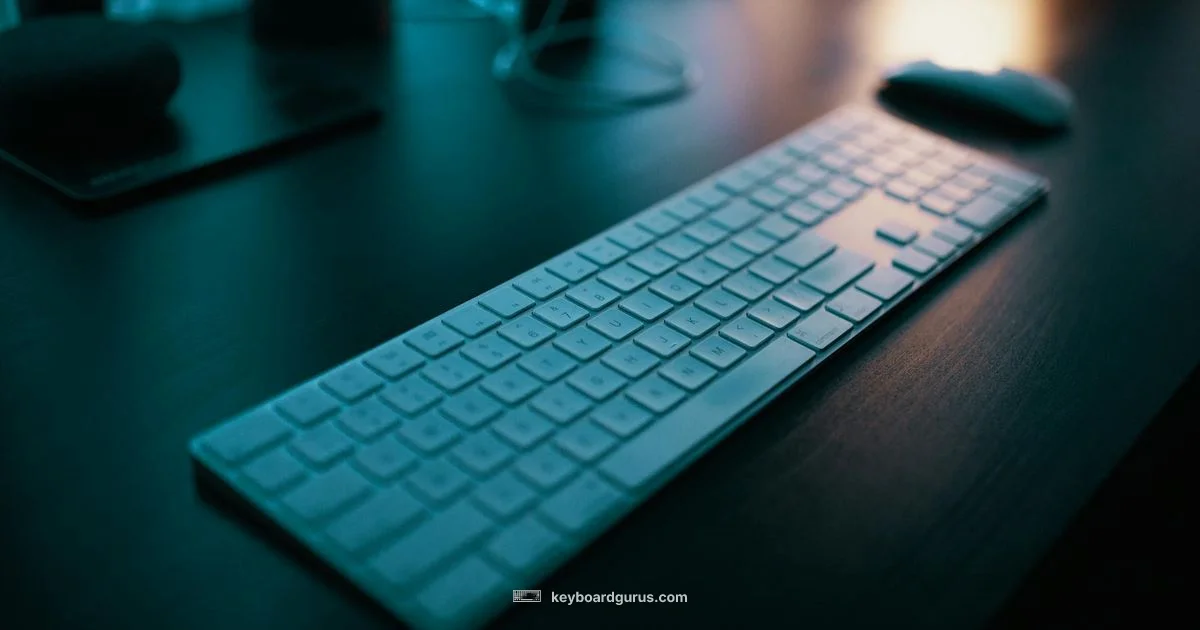 Wireless Keyboard Reality - Keyboard Gurus