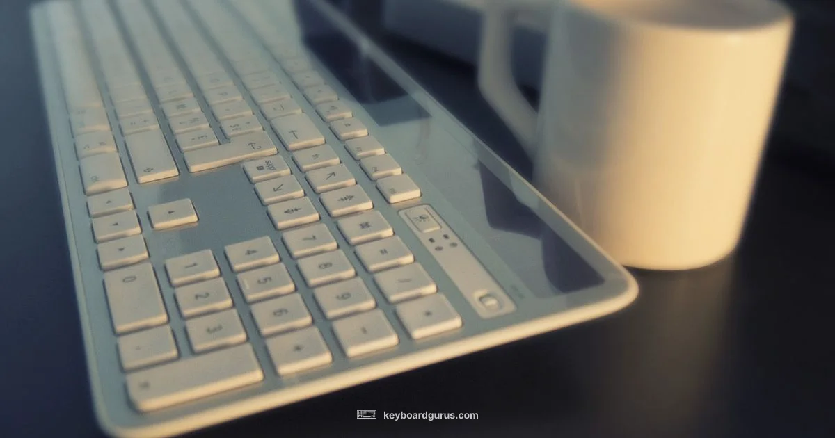 Keyboard Connections - Keyboard Gurus