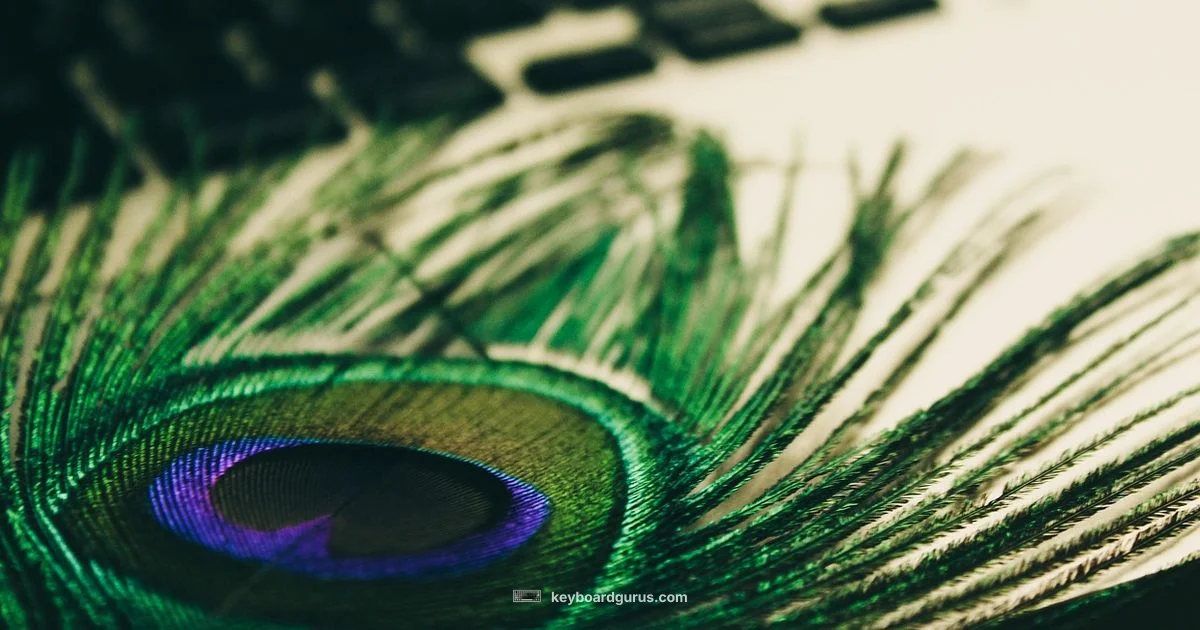 Backlit Keyboard Guide - Keyboard Gurus