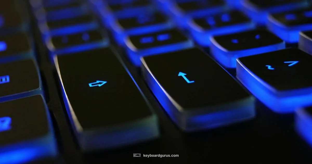 Arrow Down Guide - Keyboard Gurus