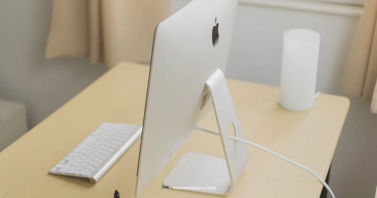 Wireless Duo - Keyboard Gurus