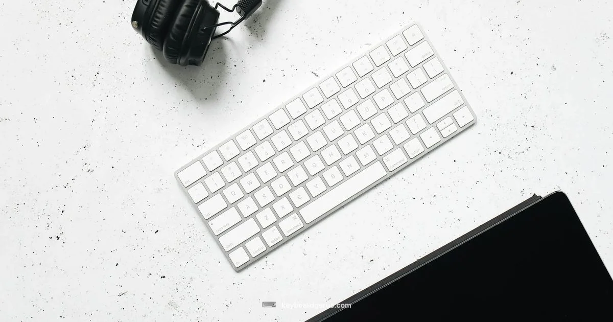 Driver Update - Keyboard Gurus