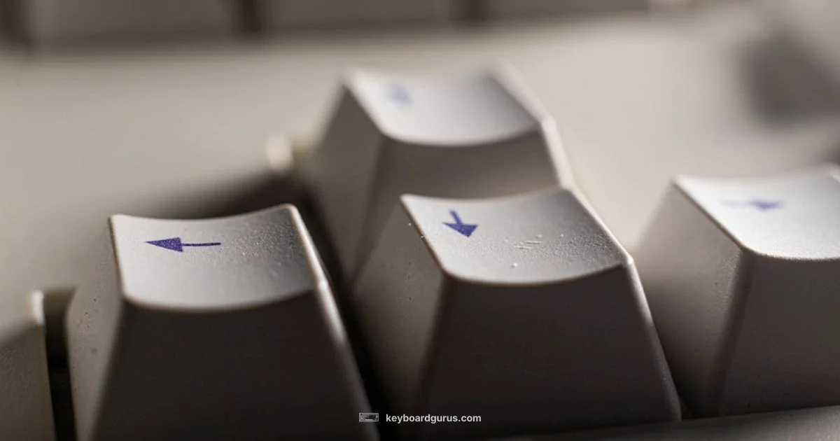 Arrow Keyboard Essentials - Keyboard Gurus