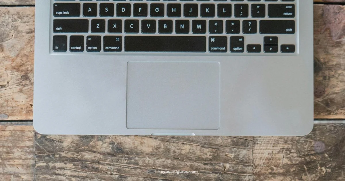 Nomenclature Guide - Keyboard Gurus