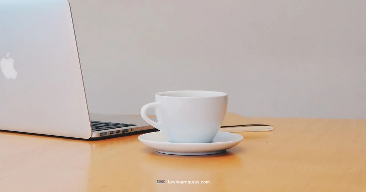 QWERTY Essentials QWERTY Essentials - Keyboard Gurus