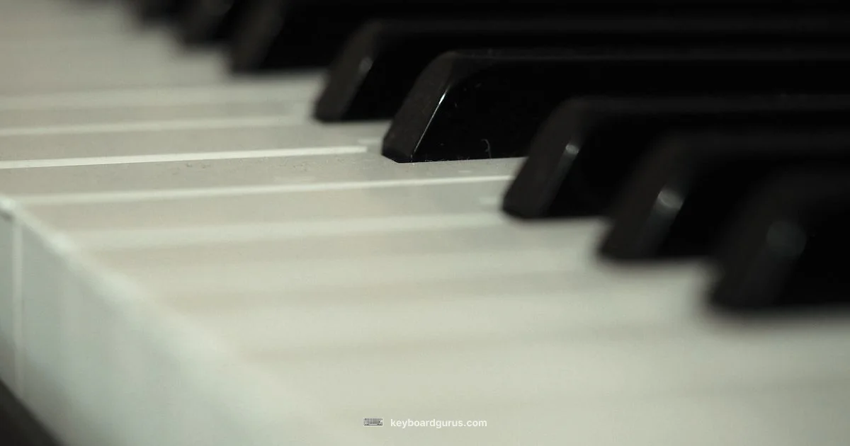 Keyboard and Piano Basics - Keyboard Gurus