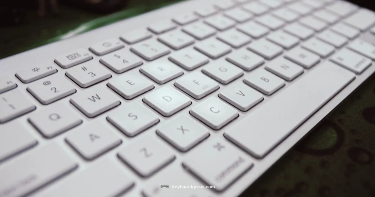 Loud Keyboard Fix Loud Keyboard Fix - Keyboard Gurus