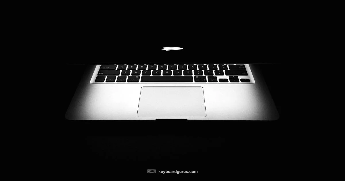 MacBook-like Keyboard - Keyboard Gurus