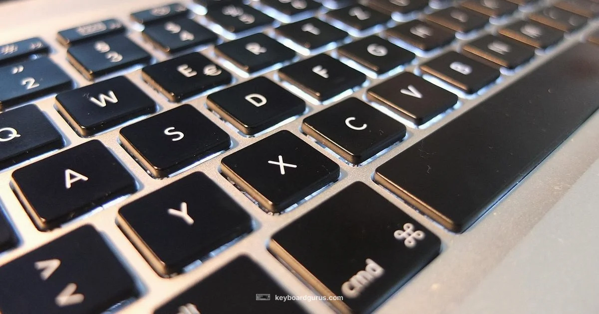 Light Keyboard Deep Dive - Keyboard Gurus