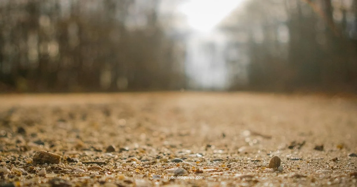 Keyboard Dirt 101 - Keyboard Gurus