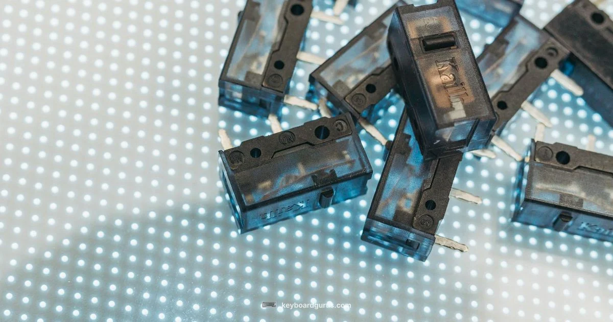 Set Keyboard Build Set Keyboard Build - Keyboard Gurus