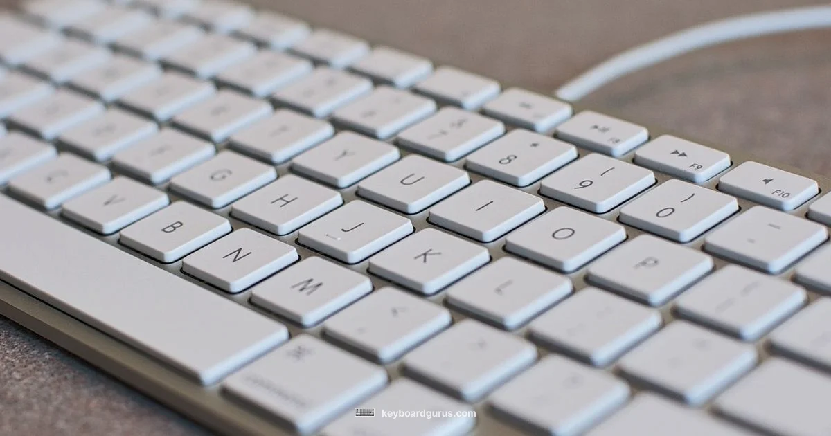 Full-Size Keyboard Guide - Keyboard Gurus