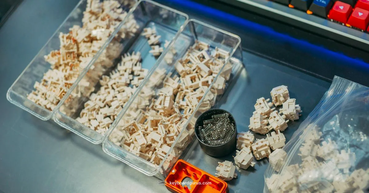 Switch Guide - Keyboard Gurus