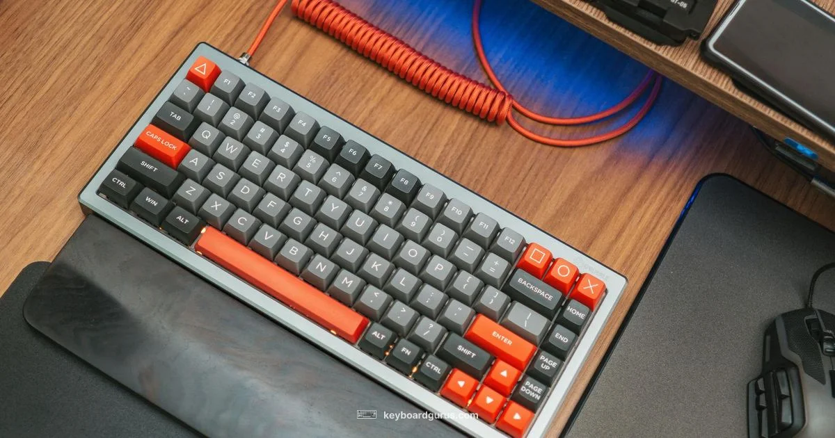 Steam Deck Keyboard - Keyboard Gurus