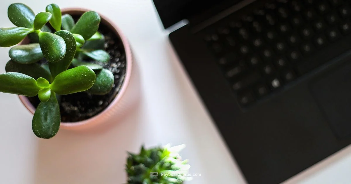 Mechanical vs Normal Keyboard - Keyboard Gurus