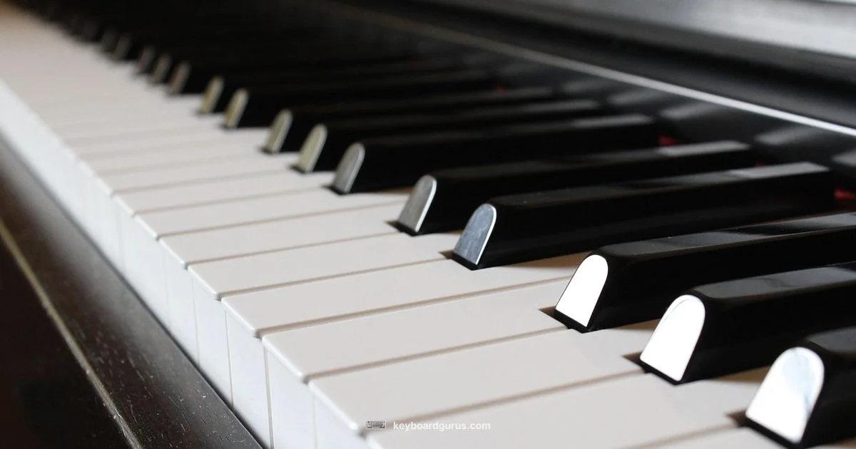 Chord Guide Essentials - Keyboard Gurus