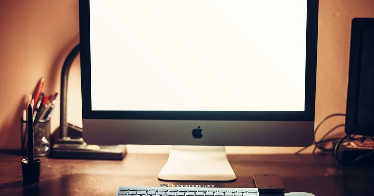 Keyboard and Mouse Essentials - Keyboard Gurus