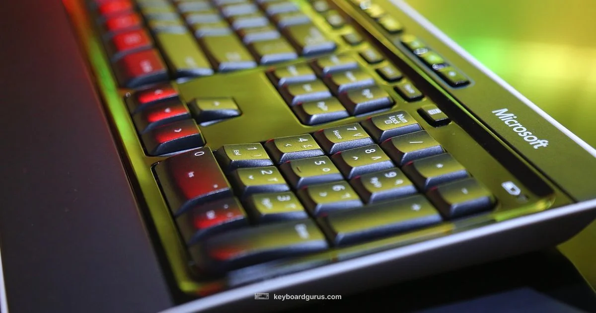 Keyboard Protector Guide - Keyboard Gurus