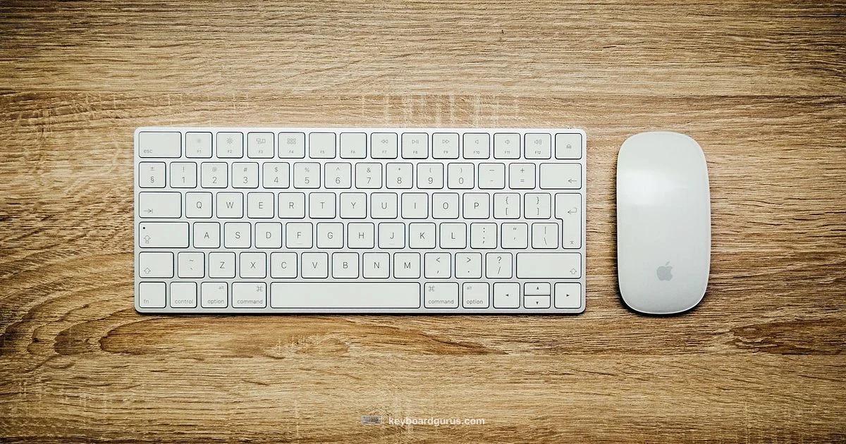 Watch Keyboard Guide - Keyboard Gurus