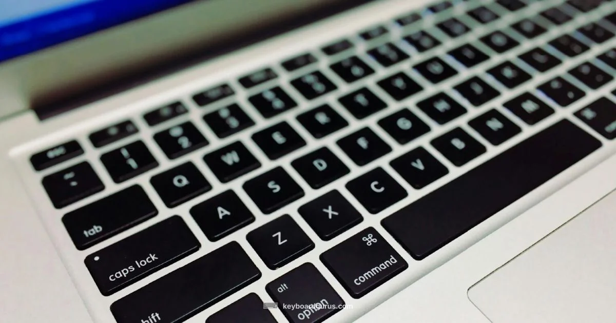 Keyboard Replacement Guide - Keyboard Gurus