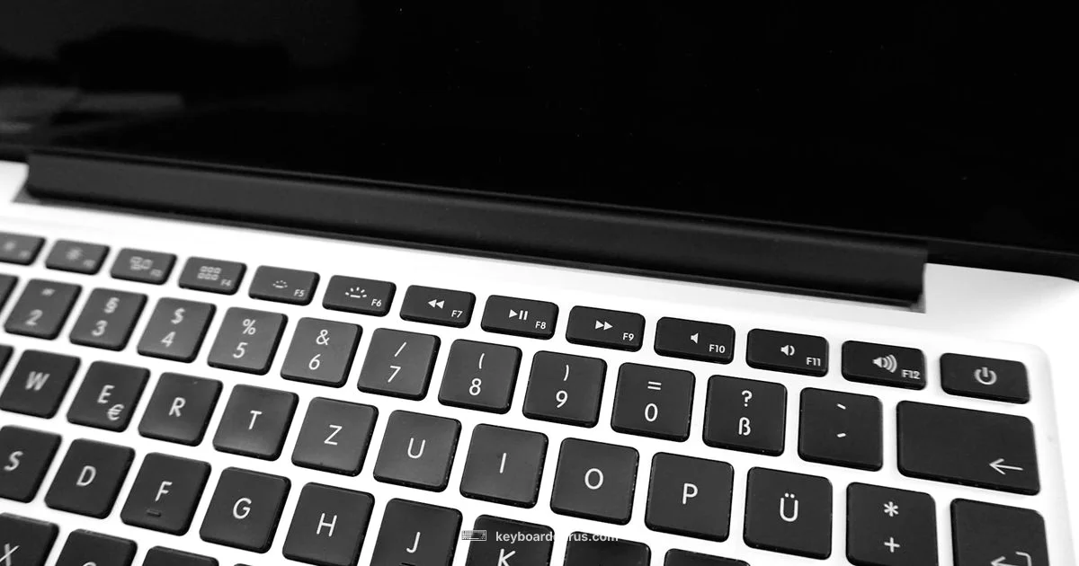 BIOS Keyboard Access - Keyboard Gurus