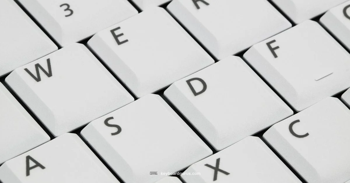 Key Press Hold - Keyboard Gurus