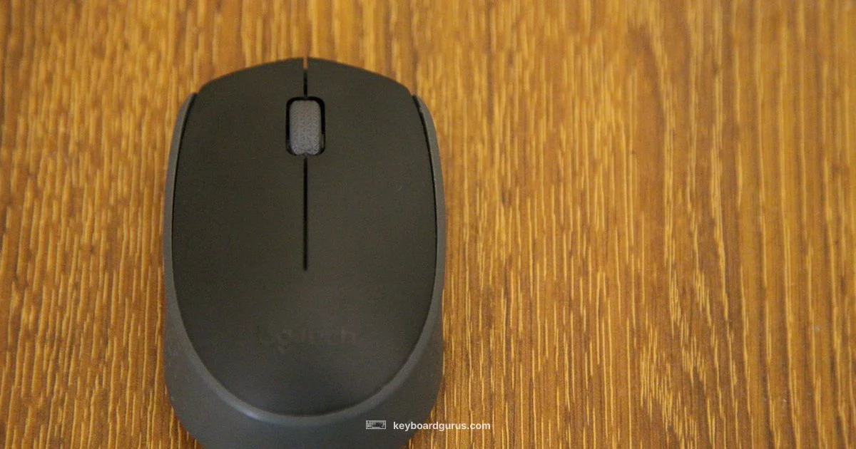 PS5 Keyboard Guide - Keyboard Gurus