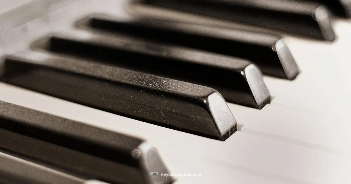 Keyboard Piano Guide - Keyboard Gurus