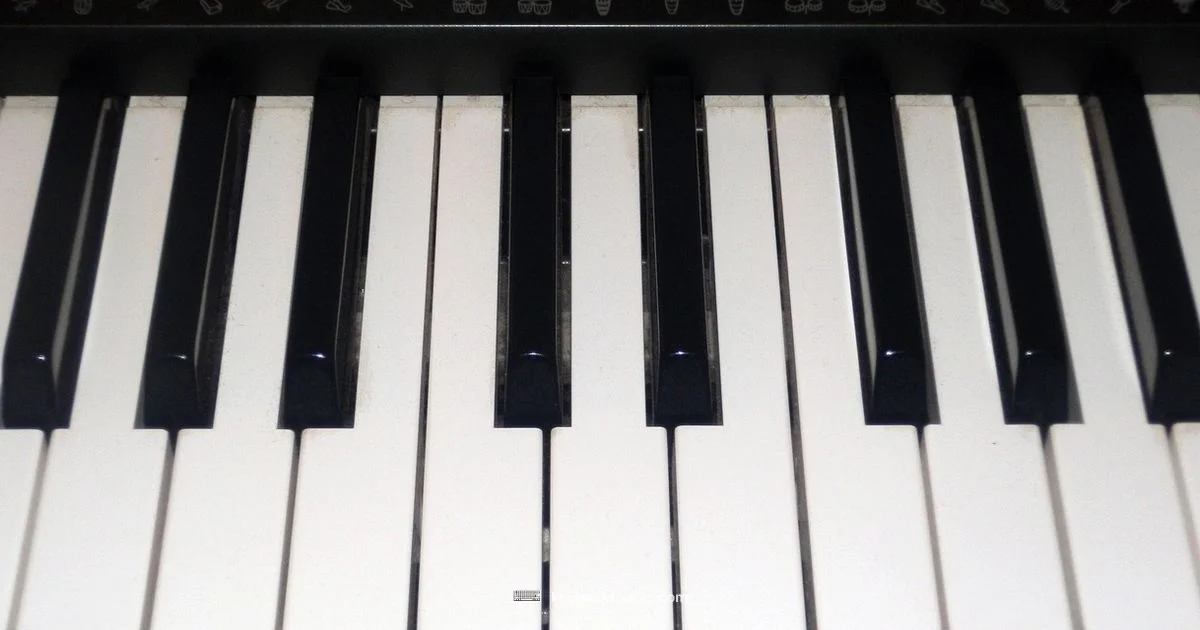 Naming Debate - Keyboard Gurus