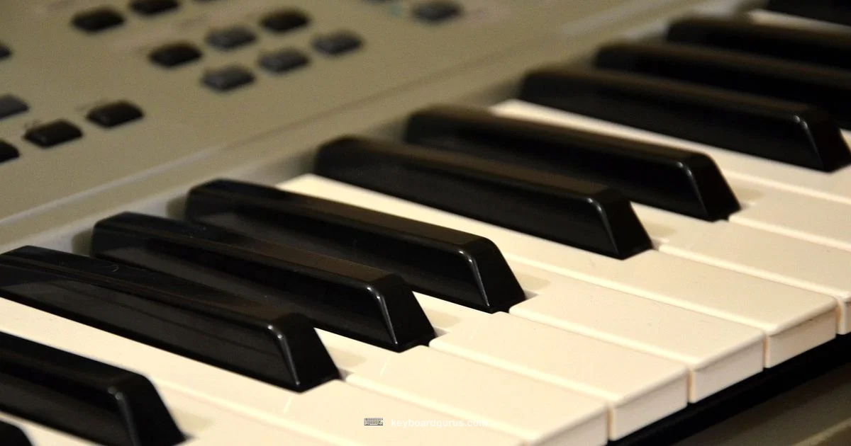 No F1 Key - Keyboard Gurus