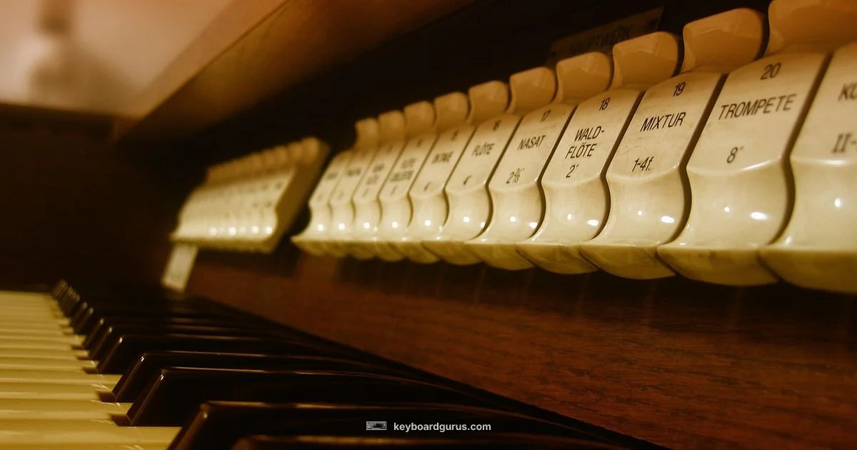 Keyboard Organ Defined Keyboard Organ Defined - Keyboard Gurus