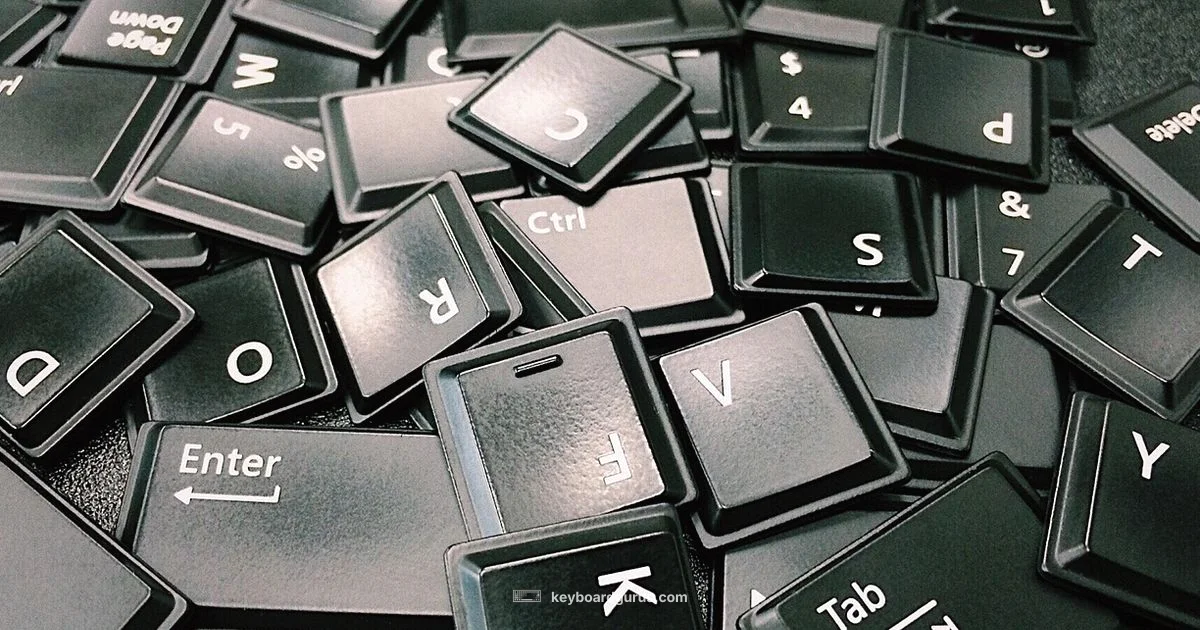 Arrow Keys Essentials - Keyboard Gurus