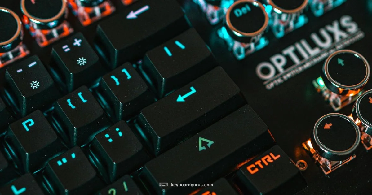 Mechanical Switch Guide Mechanical Switch Guide - Keyboard Gurus