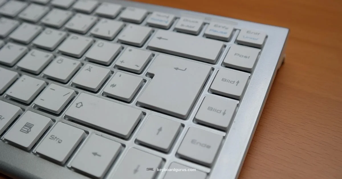 Function Keys Guide - Keyboard Gurus