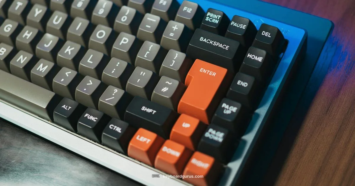 Keyboard Types Guide - Keyboard Gurus