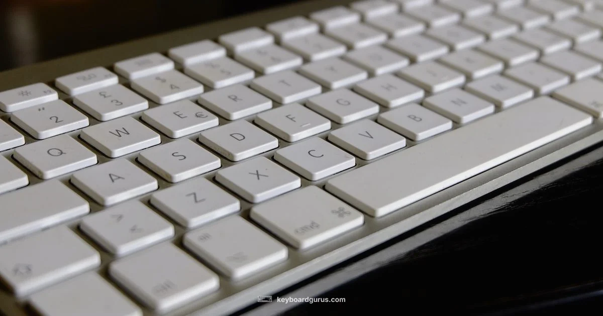 Keyboard Setup - Keyboard Gurus