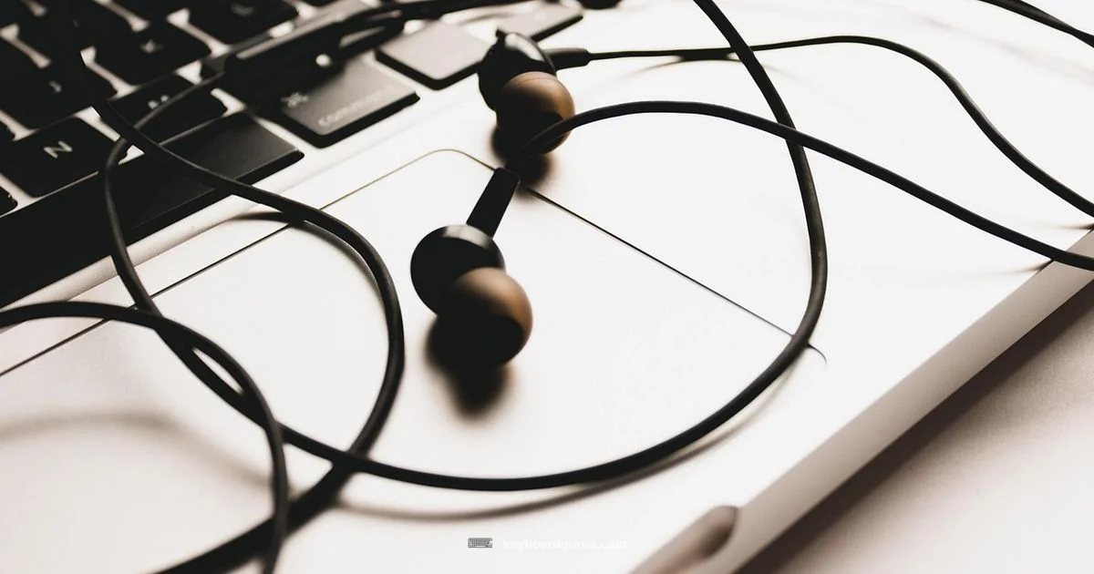 Keyboard Brightness on Mac Keyboard Brightness on Mac - Keyboard Gurus