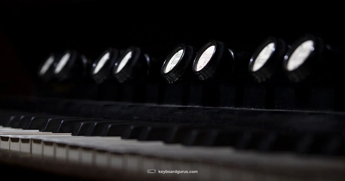 Piano vs Organ vs Keyboard Piano vs Organ vs Keyboard - Keyboard Gurus