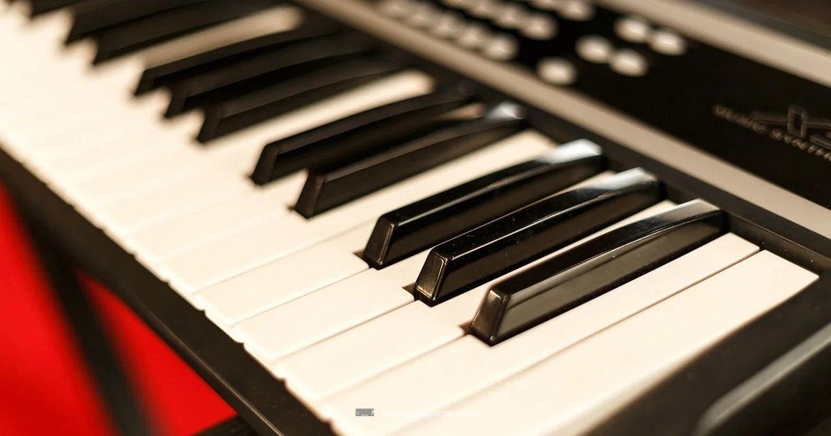 Electronic Piano Review Electronic Piano Review - Keyboard Gurus