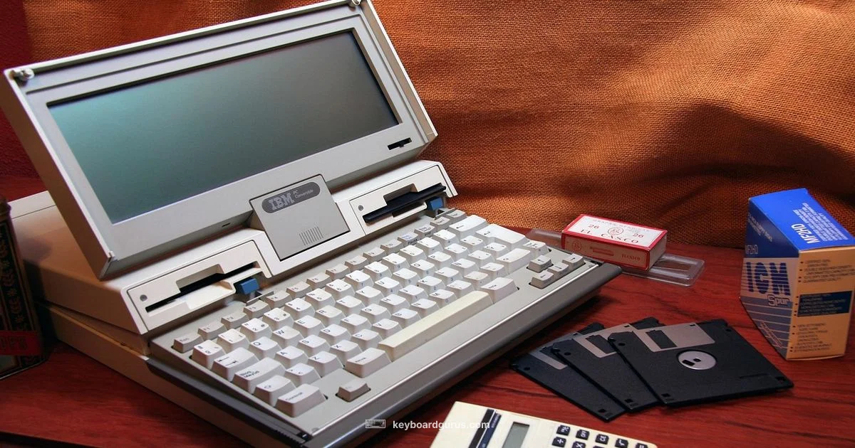 Keyboard Cat Origins - Keyboard Gurus