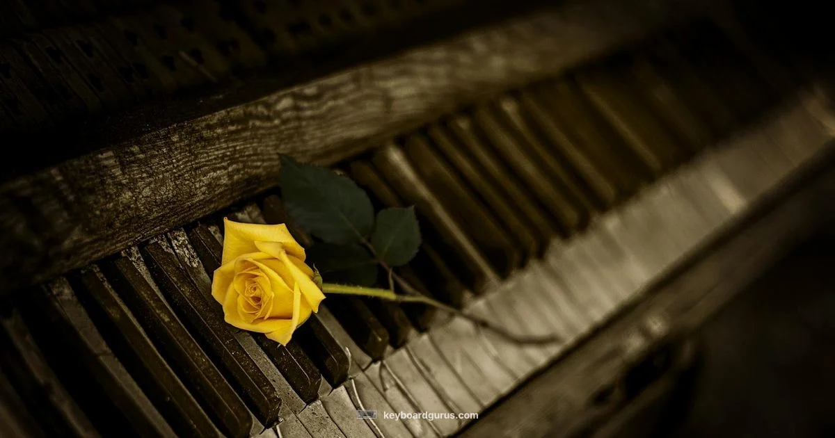 88-Key Size Guide - Keyboard Gurus