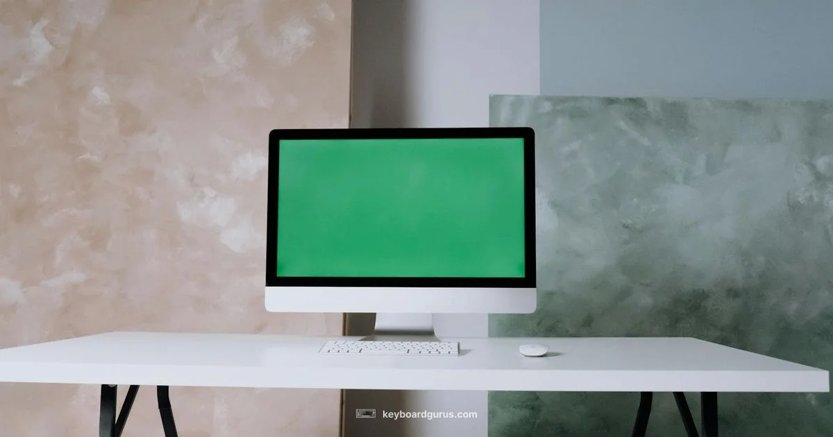 MX vs Magic Showdown - Keyboard Gurus