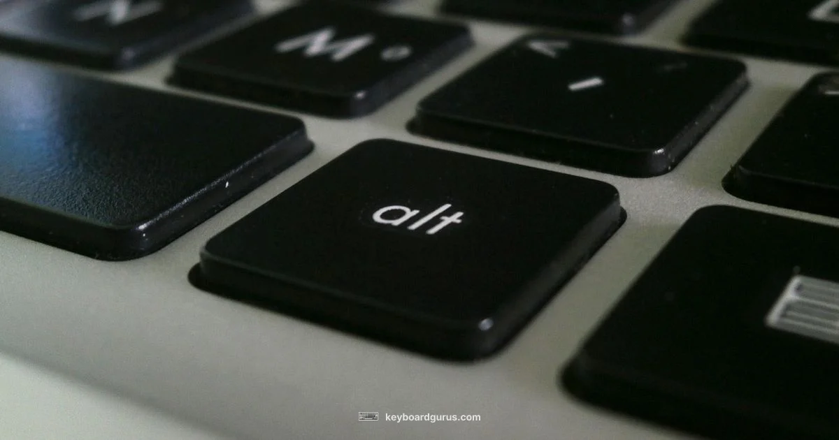 Fn Key Free - Keyboard Gurus