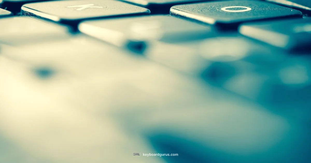 Keyboard Macros - Keyboard Gurus