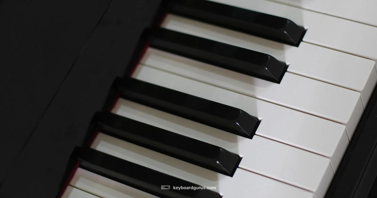 Yamaha 88 Key Guide Yamaha 88 Key Guide - Keyboard Gurus