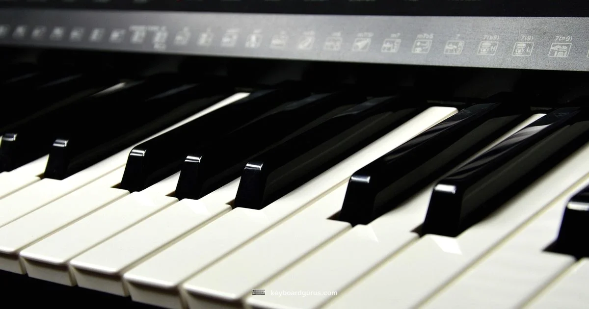 Beginner Piano Guide - Keyboard Gurus